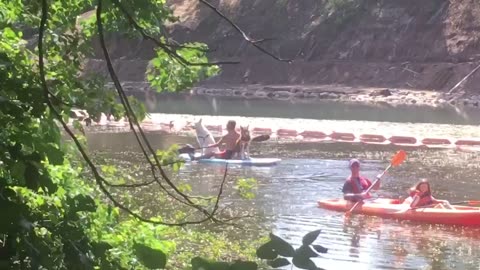 A man & his two dogs on boating