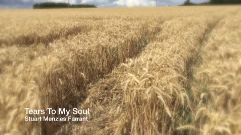 Tears To My Soul Clip