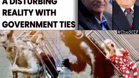 What's Up With Podesta Brothers?