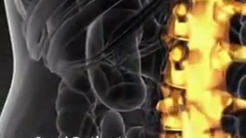 Lewis. K. Clarke MD, PhD Is Nicotine the Key to treating Brain Injuries？