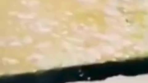 💋 Actually, this Snake saved the Fish