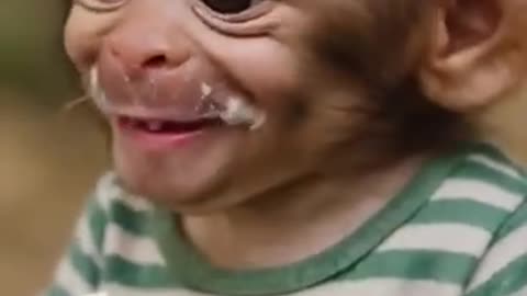 Viral