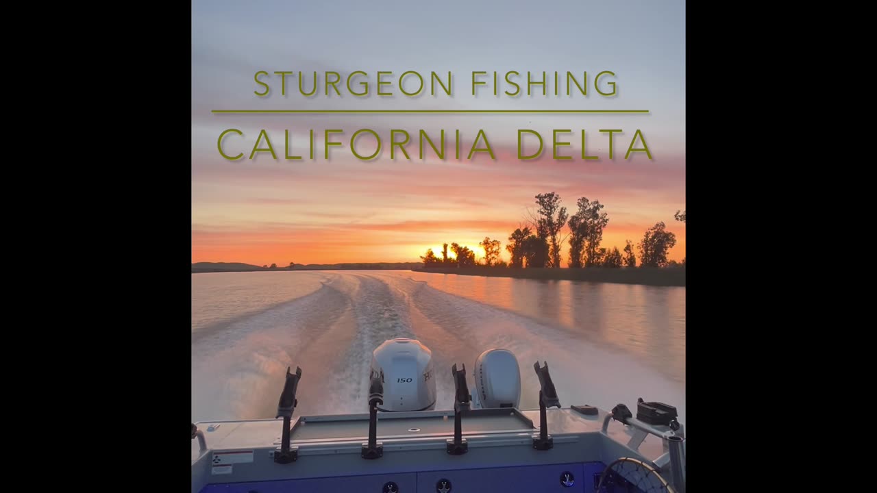 Fishing - Anxiety - Let’s Go!