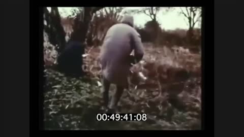 🚁💥 Northern Ireland Conflict | IRA Attacks British Helicopter (1982) | RCF