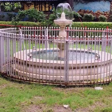 #everyone, #fyp , #instadaily, #explore ,#foryou, #viralpost, #dailyfeed