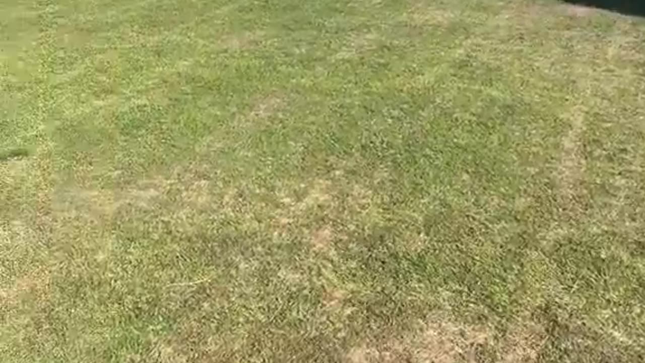 Tyler Robinson was a patsy and the Charlie Kirk assasination place is now "cleaned up"