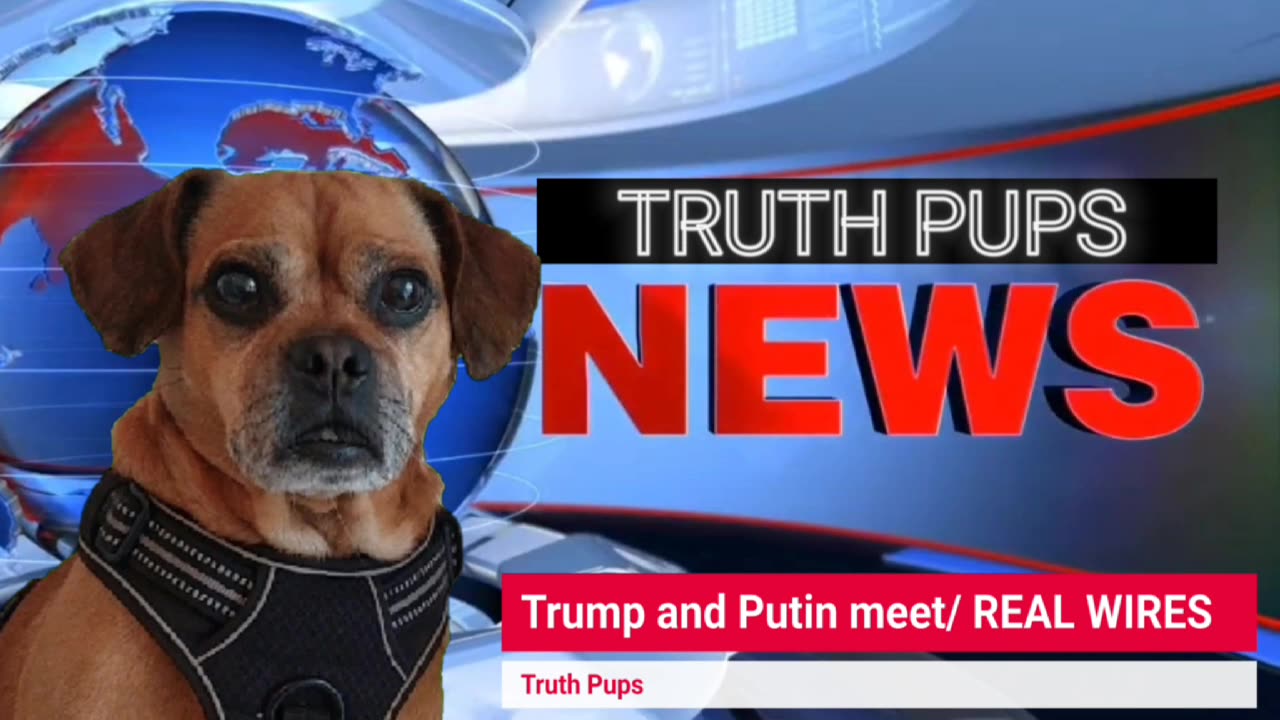 YAY🎉TRUTH🐶Pups NEWS~Trump & Putin Meet, Bring down NATO & Set a stage🎭