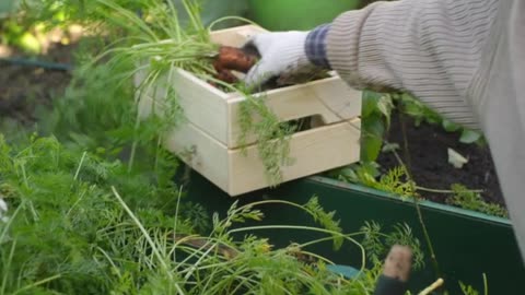 IW Archives 2022 Jan 10