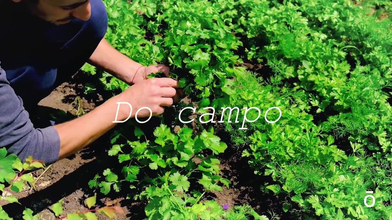 Richie Rich - Hook of Heaven