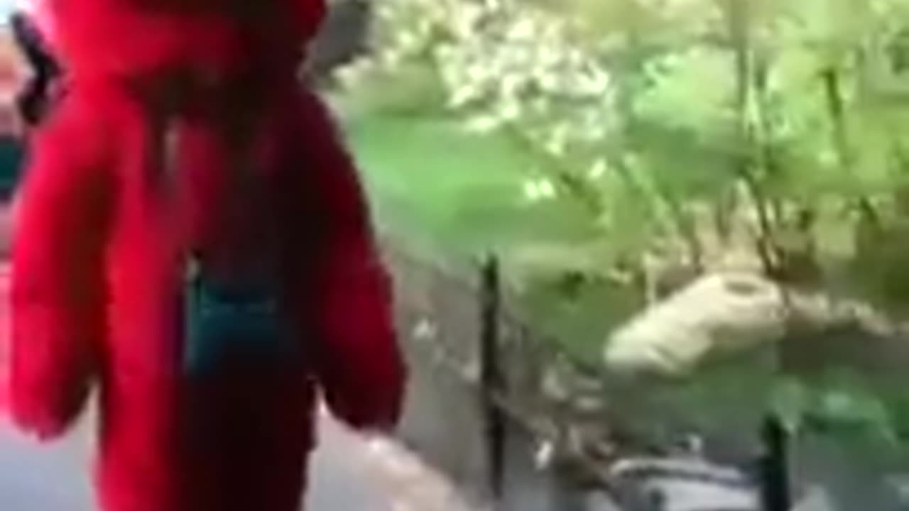 😂💀 Elmo Worked for John Gotti?! Wait, WHAT?! | FunFM