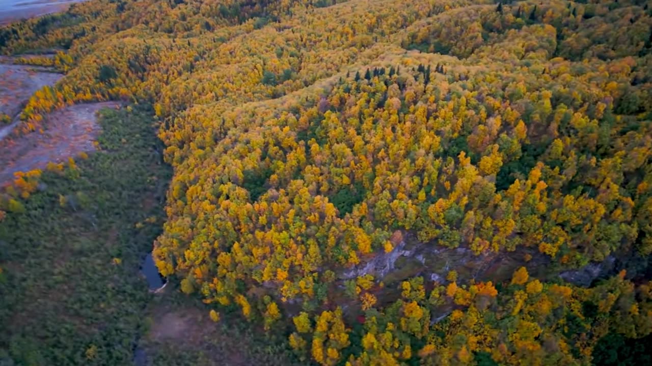 Classical Lofi Vibes for Study Time