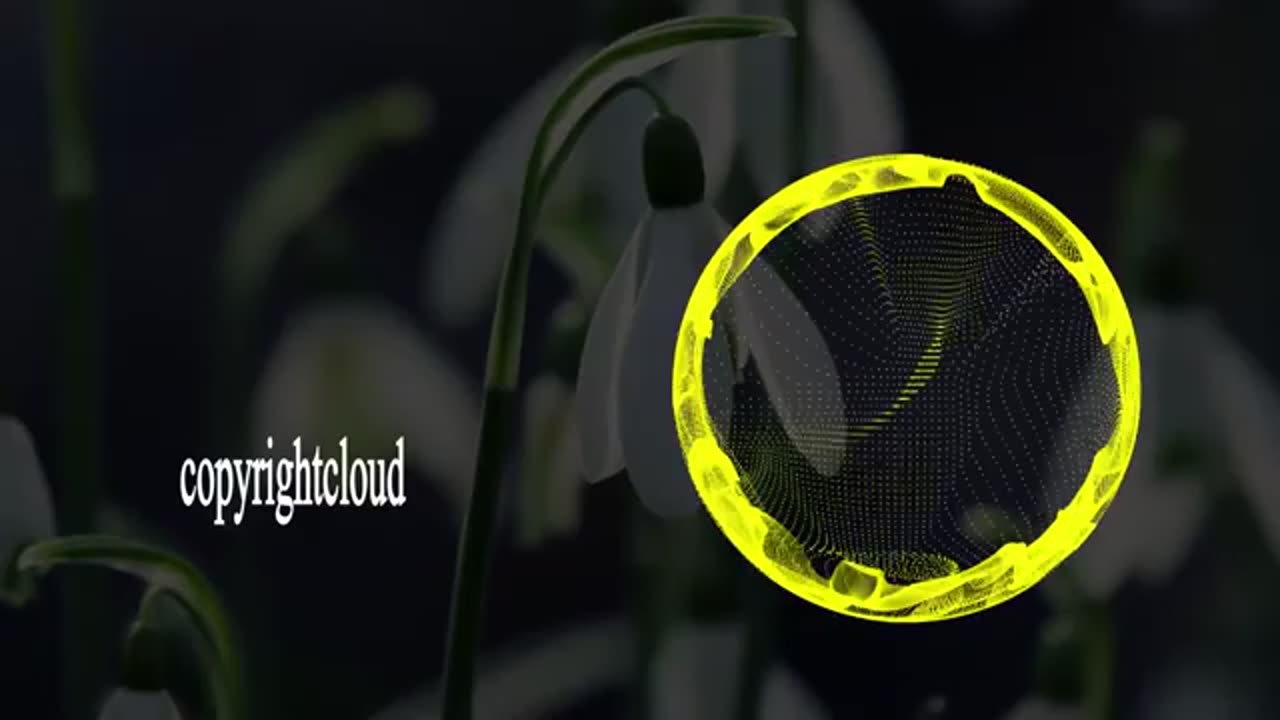 Track copyright sound use video background