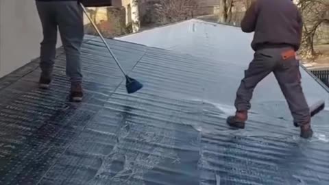 funnyvideosdaily