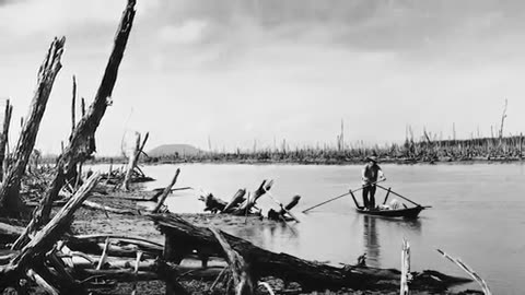 Viral: The Vietnam War Explained In 25 Minutes | Vietnam War Documentary