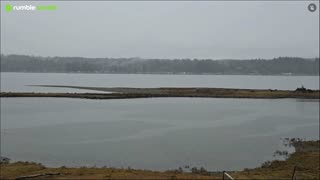 Gray Thanksgiving day