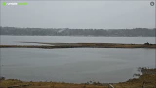 Gray Thanksgiving day