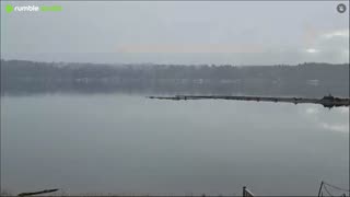 Gray Thanksgiving day