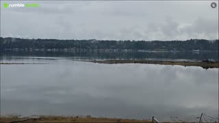 Gray Thanksgiving day