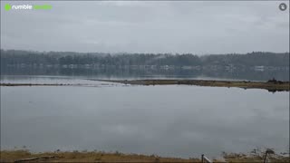 Gray Thanksgiving day