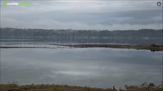 Gray Thanksgiving day