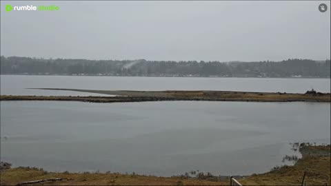 Gray Thanksgiving day