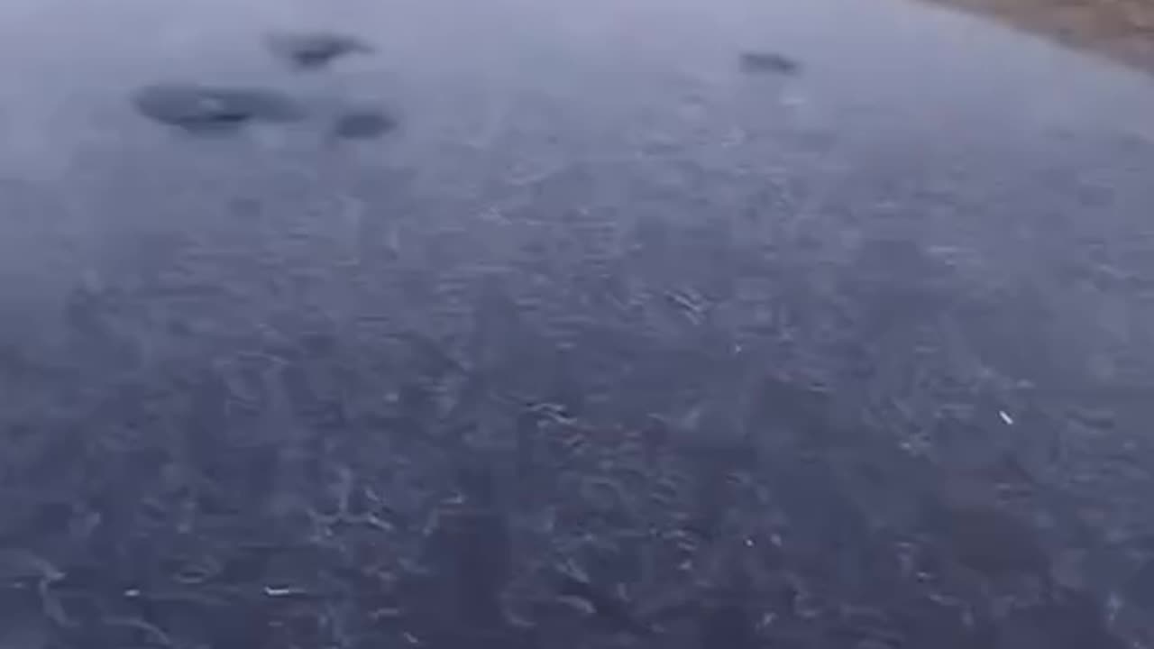 CHEMTRAILS