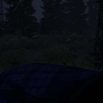 ALWAYS Watch Where You Step In DayZ