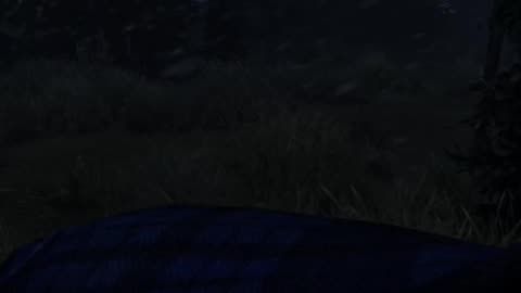 ALWAYS Watch Where You Step In DayZ