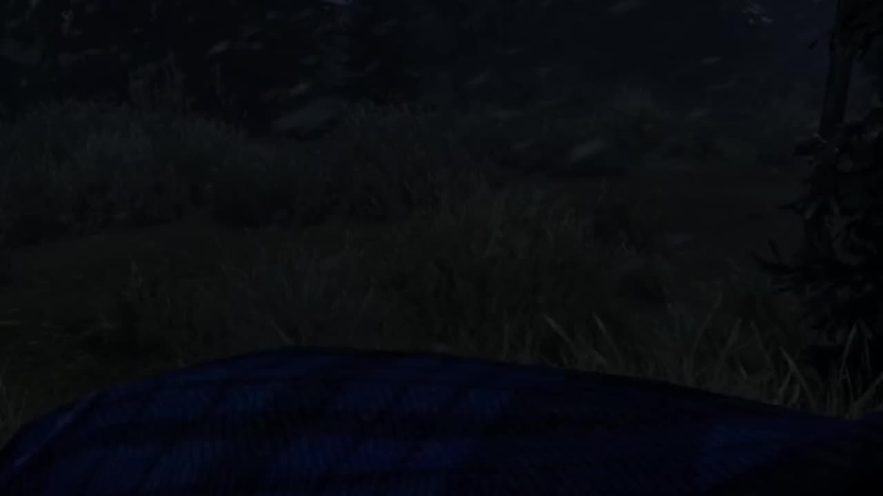 ALWAYS Watch Where You Step In DayZ