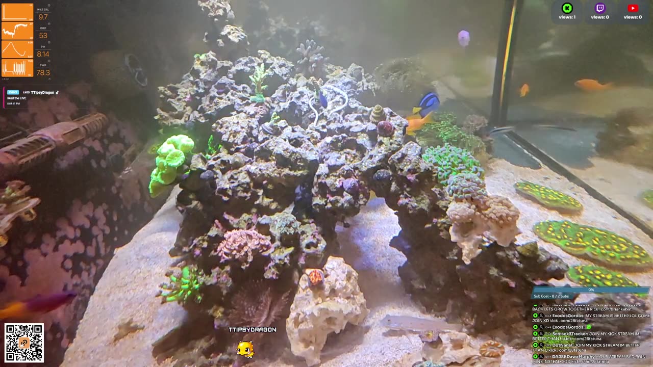 24/7 Real Live Reef Stream