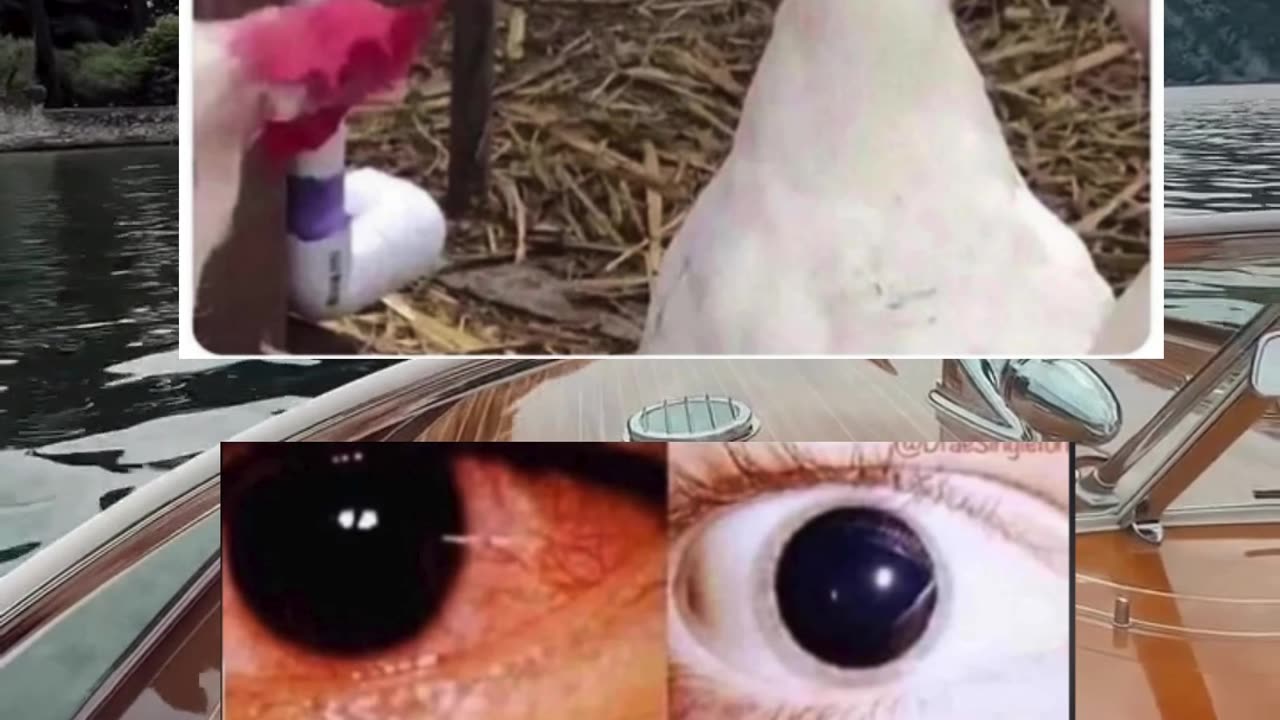 Memes of the day | funny memes | #funny