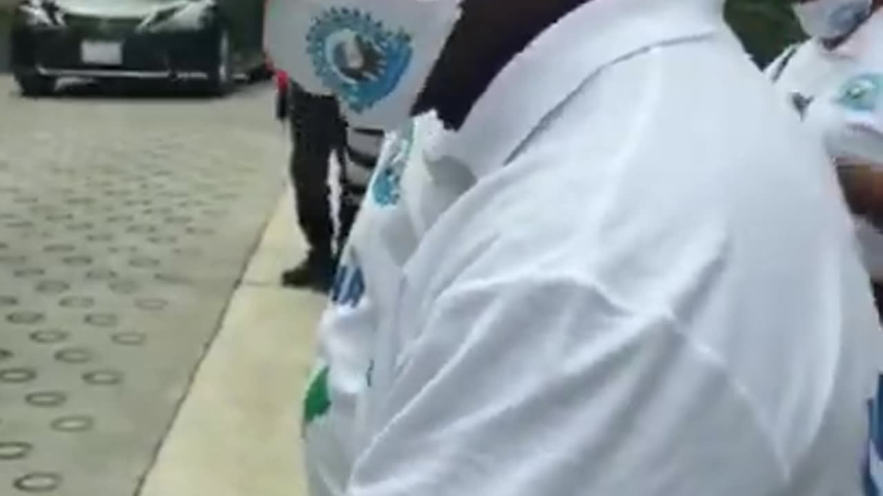 FLASH BACK: People & Nature In Zoological Republic