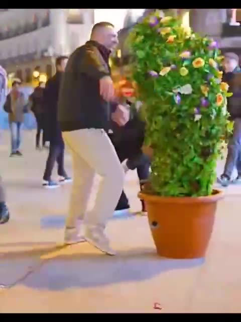 Bush or not 😎😎😎