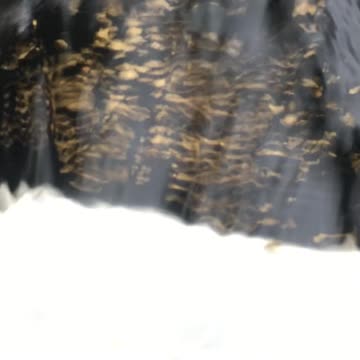 19.1 Gram GOLD NUGGET Pulled From Alaska River! 🏆🔥 Crazy Rob’s Wild Alaskan Adventures #GoldRush