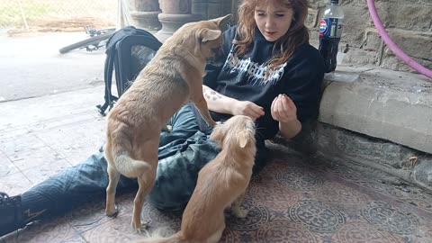 Playing Where is it ?