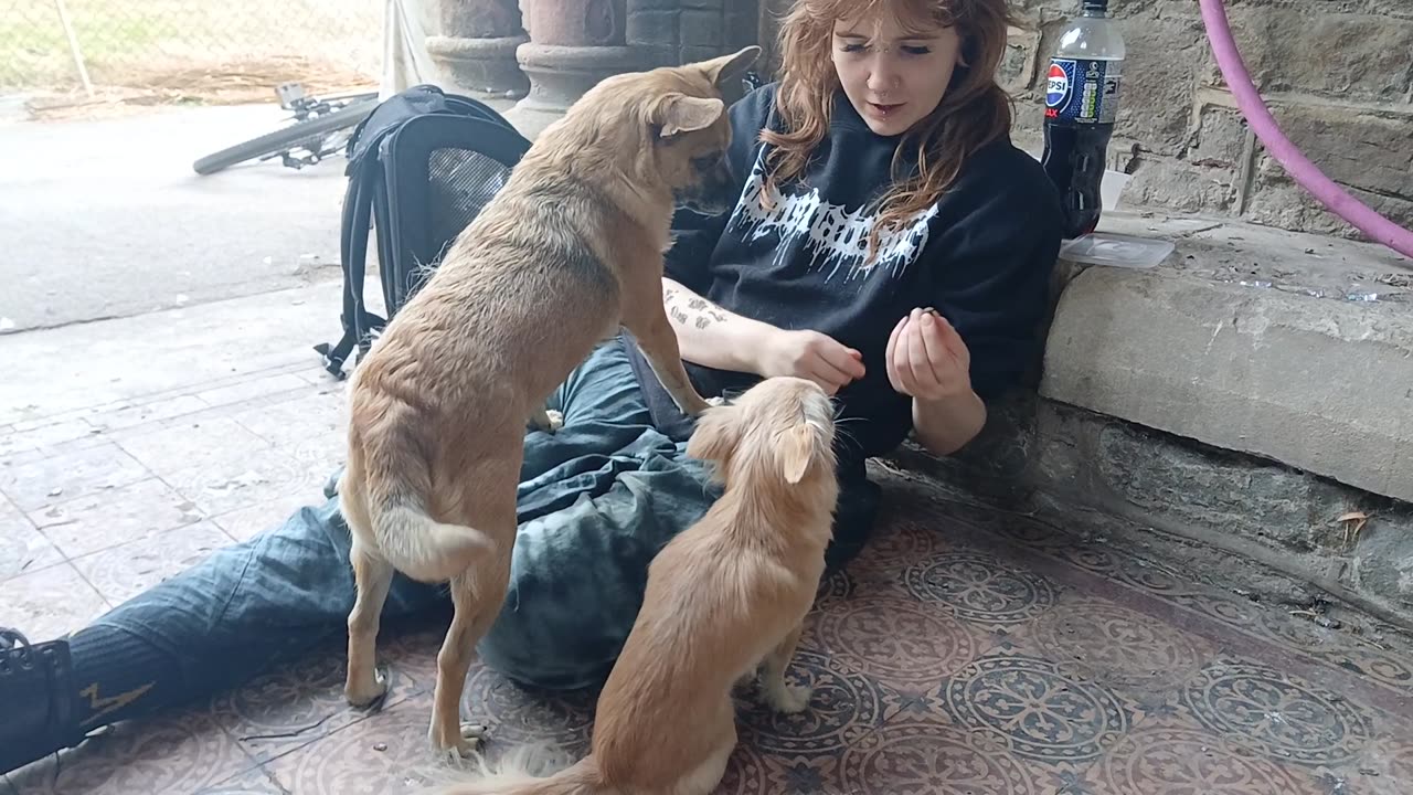 Playing Where is it ?