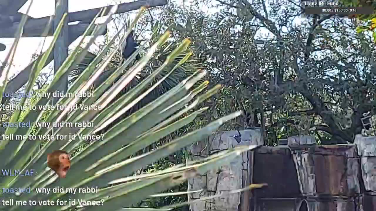 Tampa Zoo IRL 2022-11-08