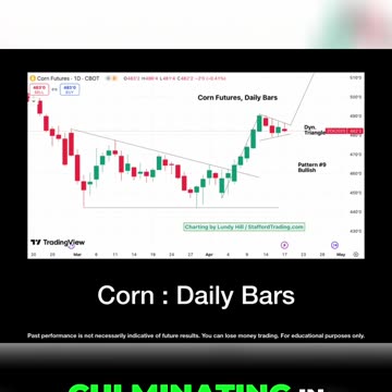 Corn "Dynamite Triangle"