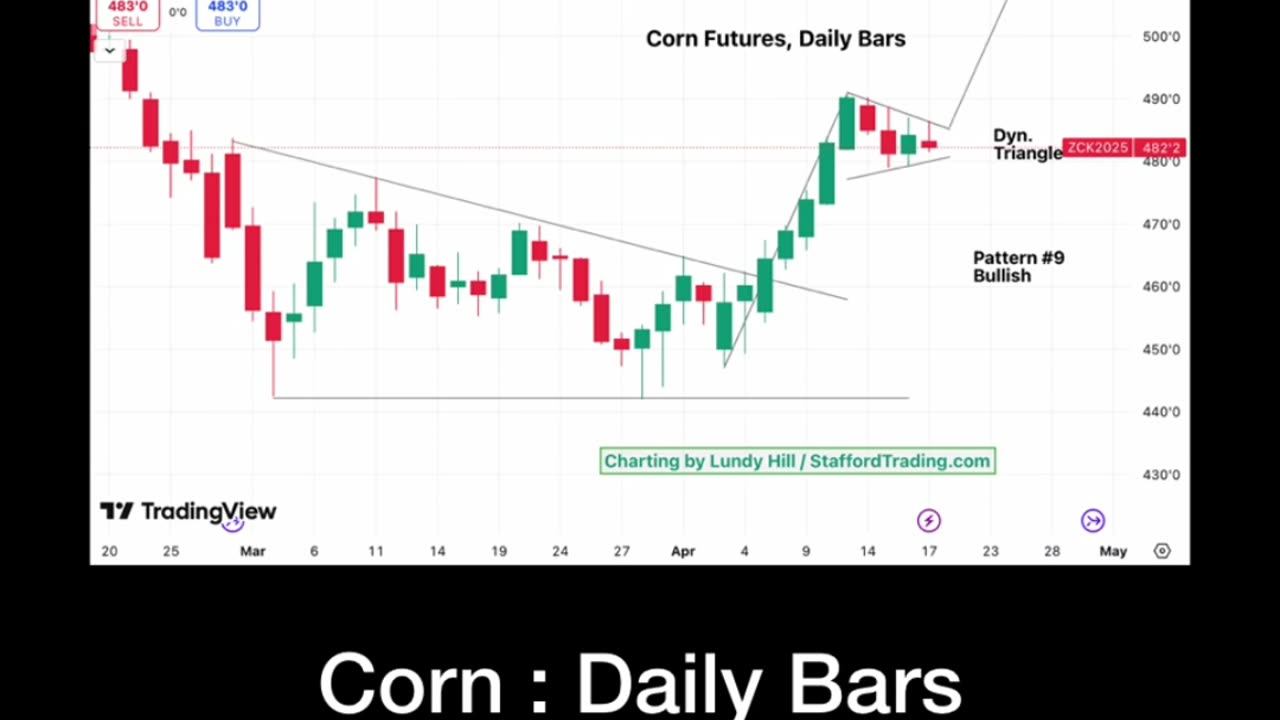 Corn "Dynamite Triangle"