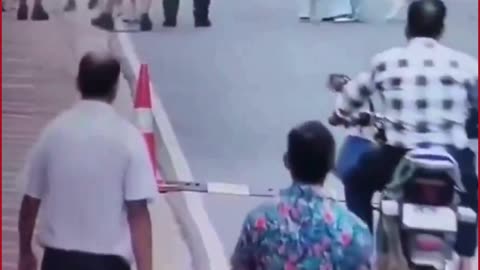 Terrifying Dog Attack in Gurugram Society: Pet Dog Bites Woman Without Provocation, Video Goes Viral