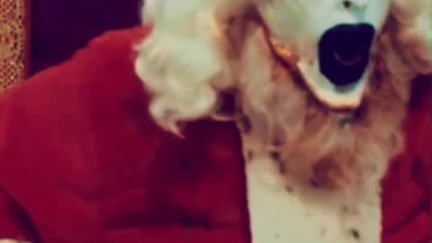 Oh, How Music Changes Things 🎄| Art the Clown and Mariah Carey Collab! 🤣#shorts