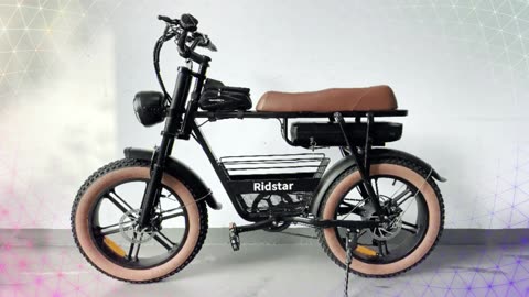 Ridstar CR20 Electric Bike 1000W Motor 48V 20AH Battery 20*4.0 Inch Electric Bike