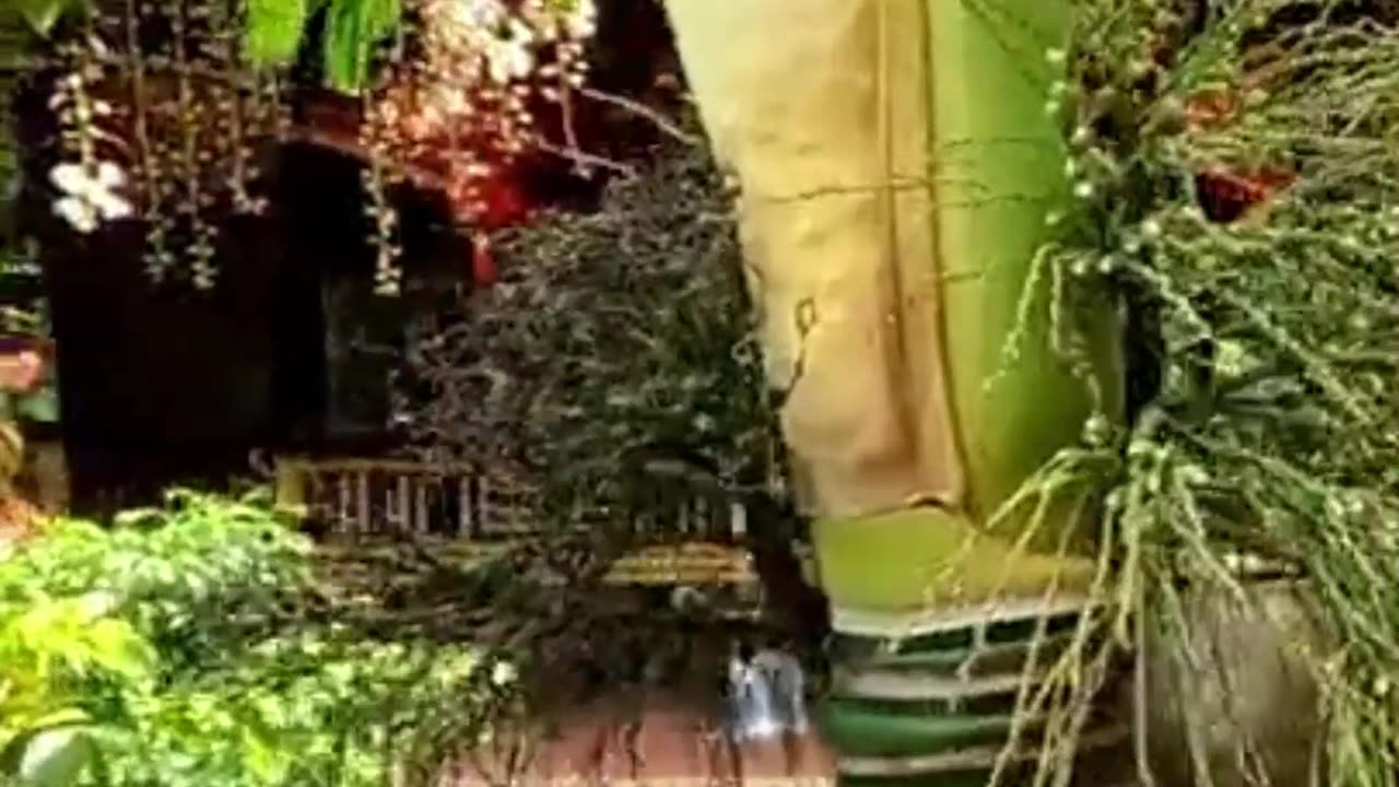 God be prepared to create a new society free of control based only on free will happy blessed times.