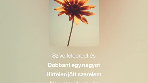 Sudden Love (1)