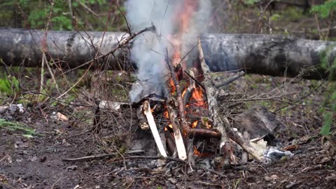 13 Day Wilderness Adventure on Wild River and Inland Sea _part13