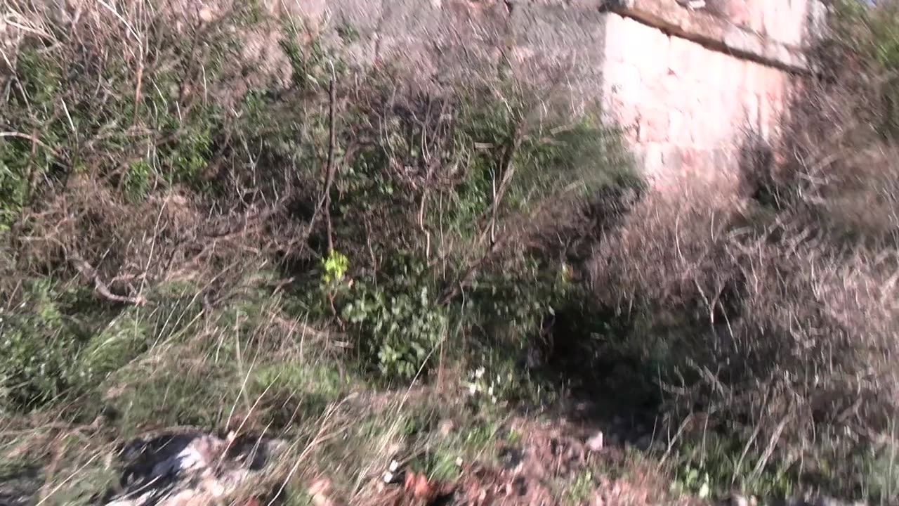 Звенящие камни