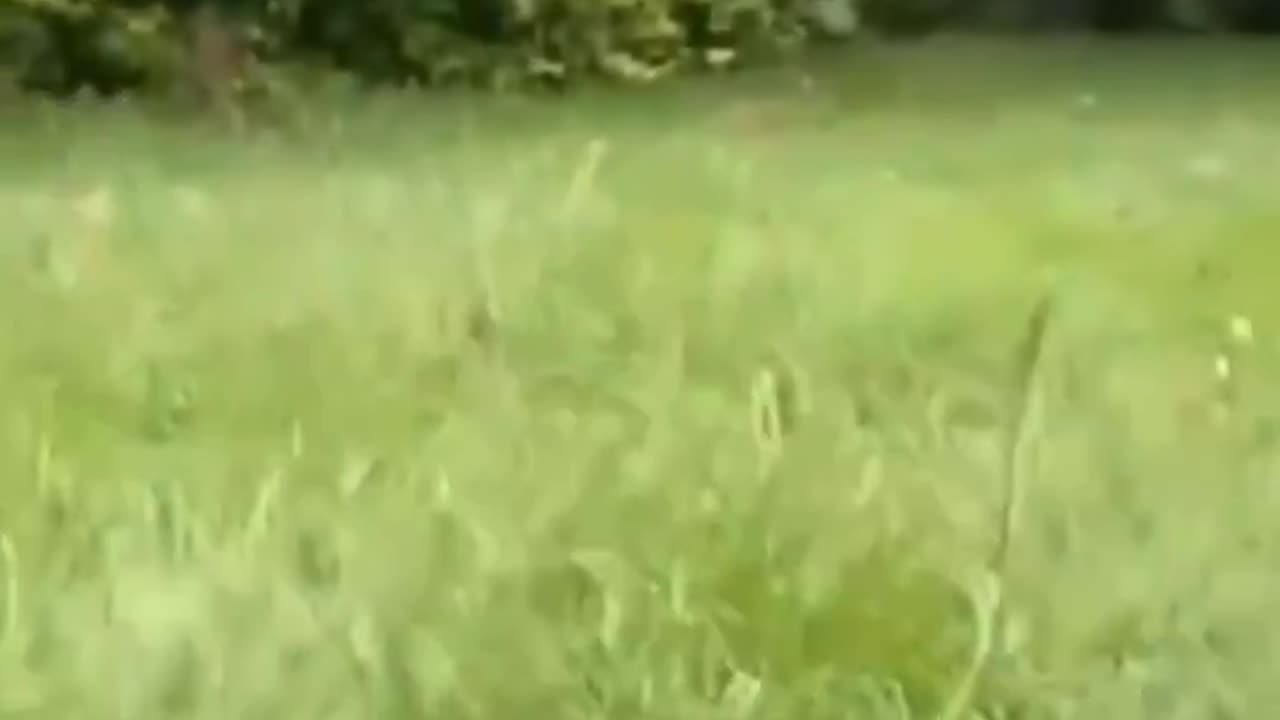 The usual suspect harasses Irish women. Let's make him famous.