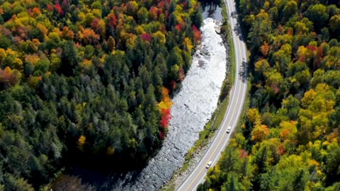 Deep Thinking Classical Lofi