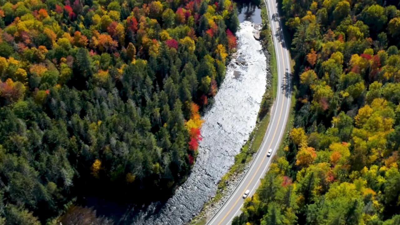 Deep Thinking Classical Lofi