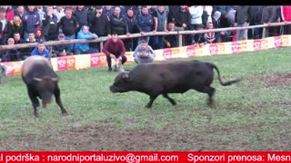 BiH MIX koride 2025